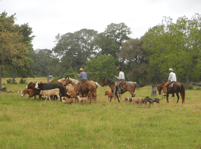 88 Ranch